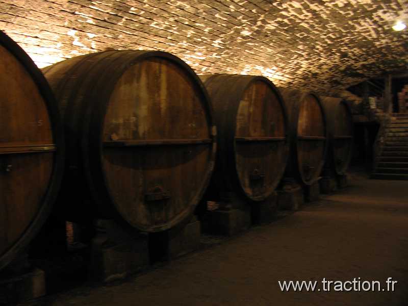 2011_CVAAM_35ans_15_Domaine_Viticole (25).JPG - 35 Ans du CVAAM, sortie dans le Doubs et le Jura, du 26 Avril au 1er Mai 2011, Le Domaine Viticole de la Pinte à Arbois